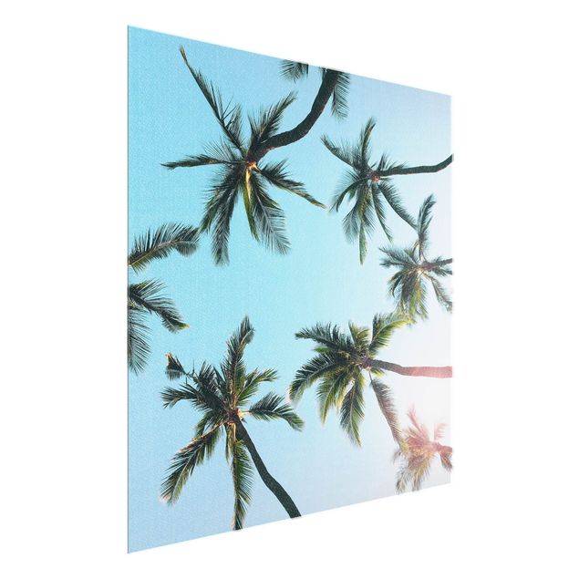 Glasschilderijen - Gigantic Palm Trees In The Sky