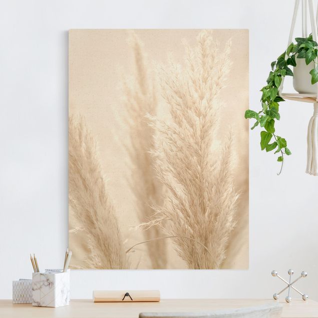 Canvas schilderijen - Goud Pampas Grass In Sun Light