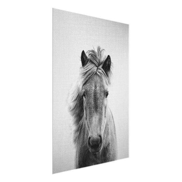Glasschilderijen - Horse Pauline Black And White
