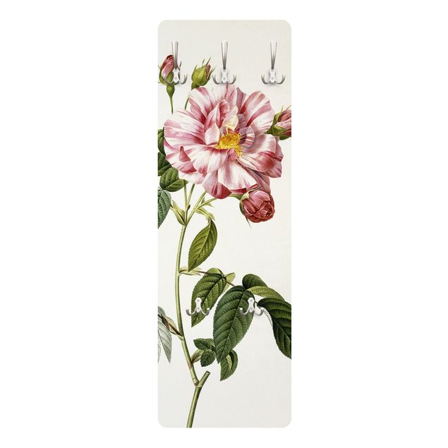 Wandkapstokken houten paneel Pierre Joseph Redoute - Pink Gallica Rose