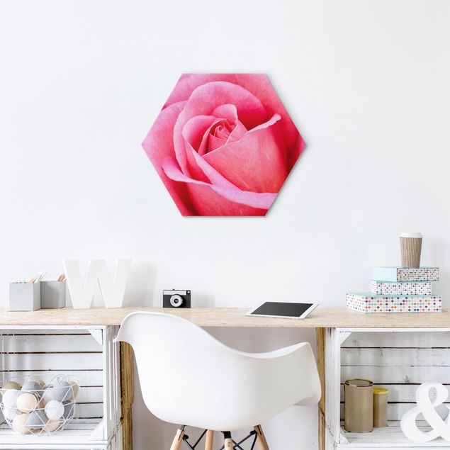 Hexagons Aluminium Dibond schilderijen - Pink Rose Flowers Green Backdrop