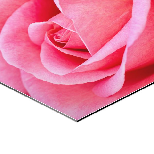 Hexagons Aluminium Dibond schilderijen - Pink Rose Flowers Green Backdrop