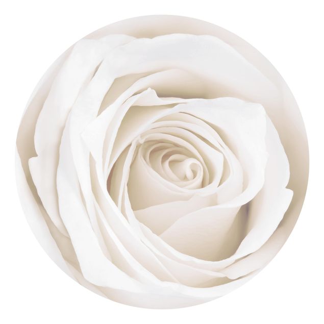 Behangcirkel Pretty White Rose