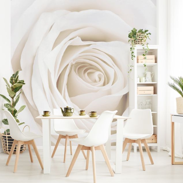 Fotobehang Pretty White Rose