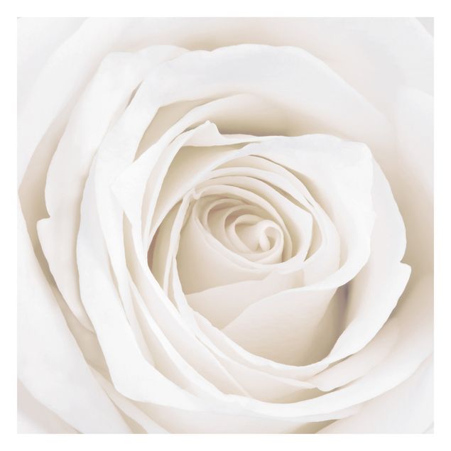 Fotobehang Pretty White Rose