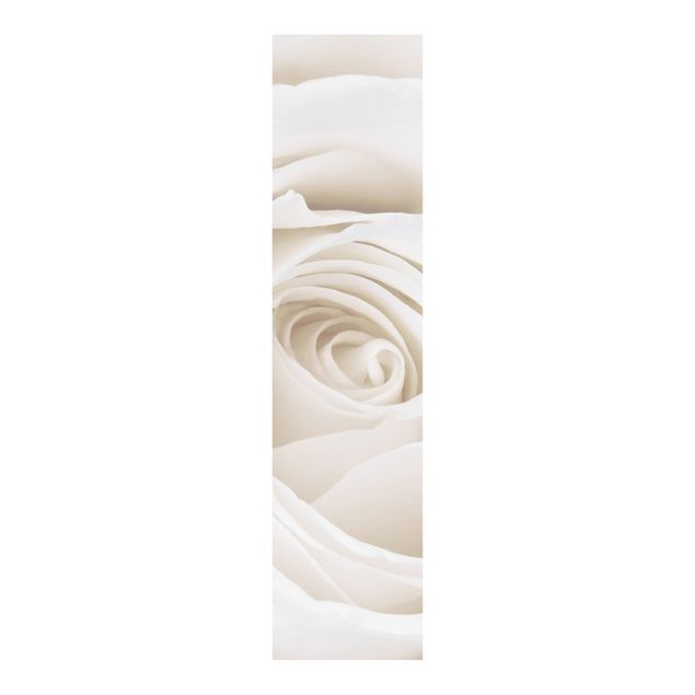 Schuifgordijnen Pretty White Rose