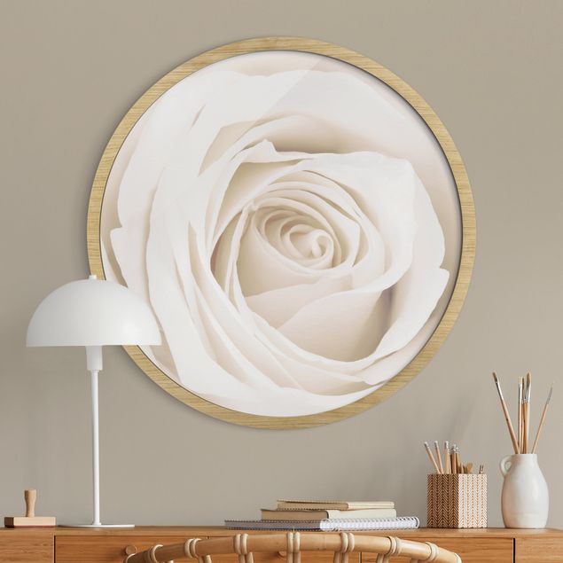 Rond schilderijen Pretty White Rose