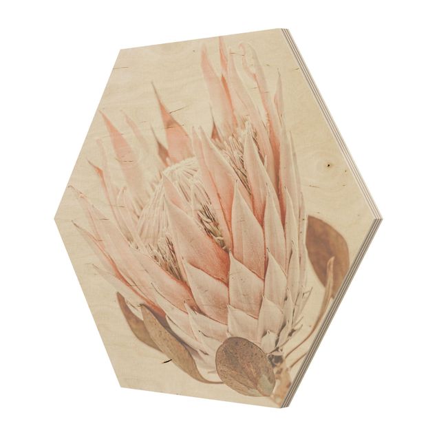 Hexagons houten schilderijen Protea Queen Of Flowers