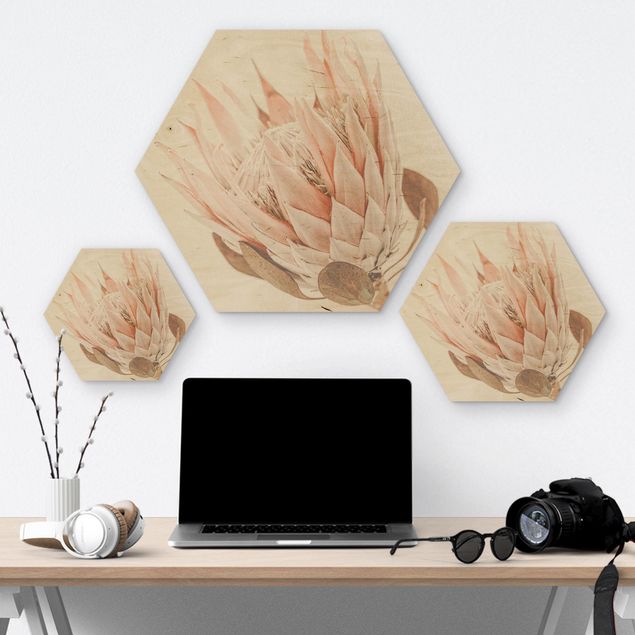 Hexagons houten schilderijen Protea Queen Of Flowers