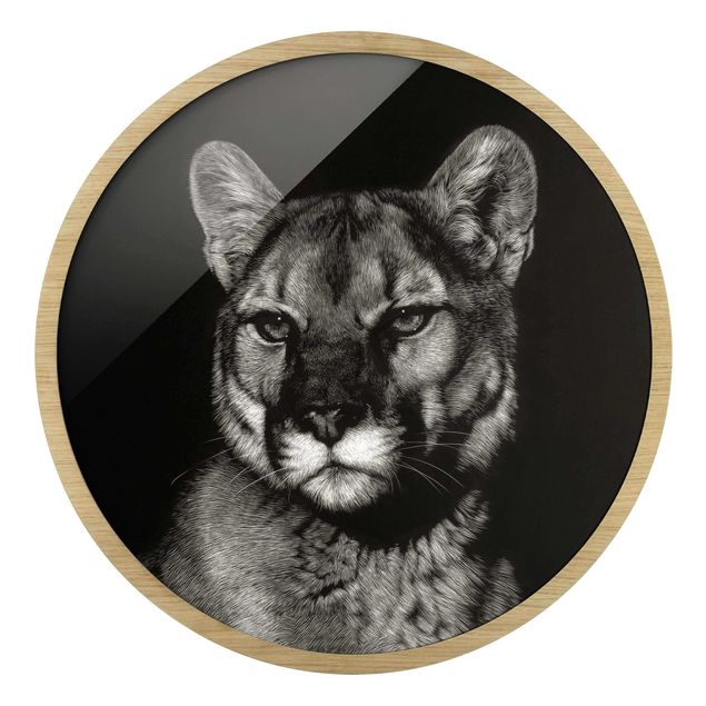 Rond schilderijen Puma su sfondo nero