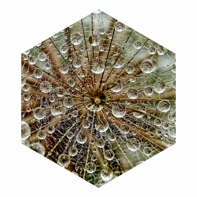 Hexagon Behang Dandelion In Autumn