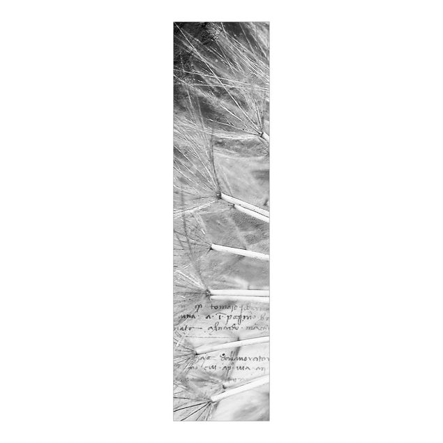 Schuifgordijnen Dandelion Black & White