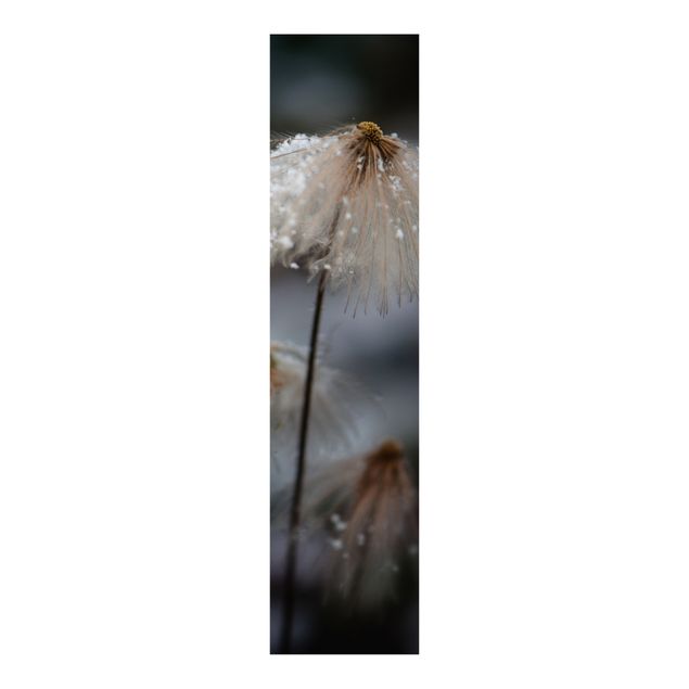 Schuifgordijnen Dandelions With Snowflakes