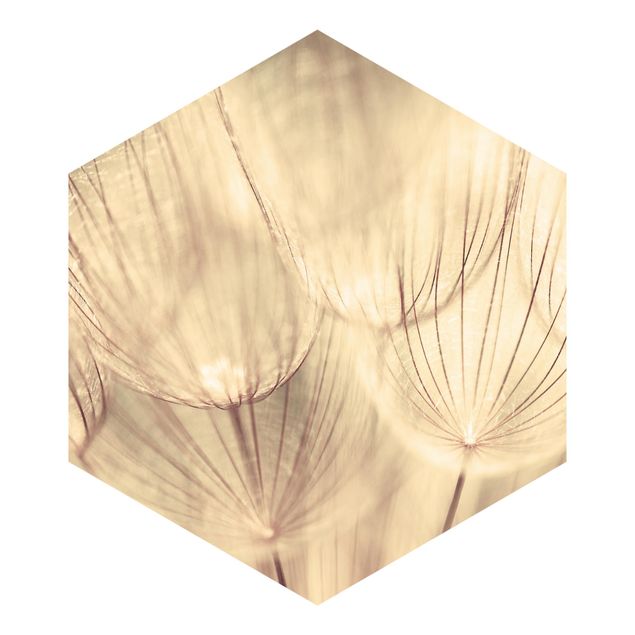 Hexagon Behang Dandelions Close-Up In Cozy Sepia Tones