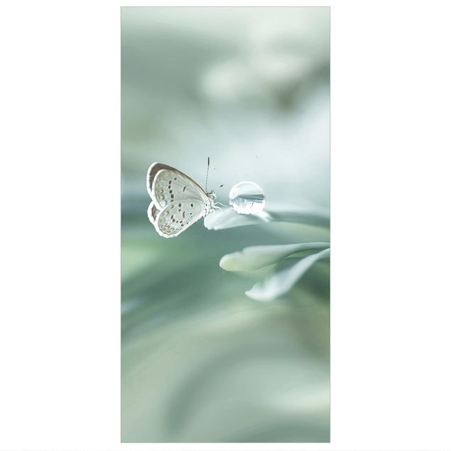 Ruimteverdeler Butterfly And Dew Drops In Pastel Green