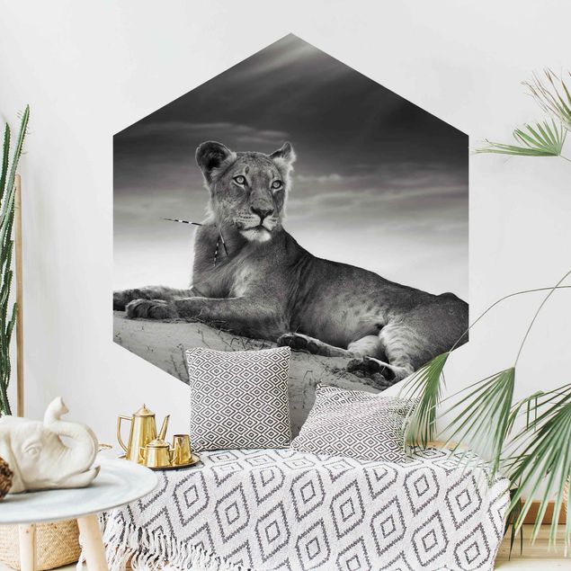 Hexagon Behang Resting Lion