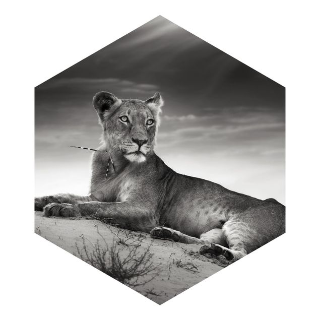 Hexagon Behang Resting Lion