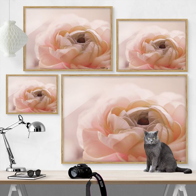 Ingelijste posters Focus On Light Pink Flower