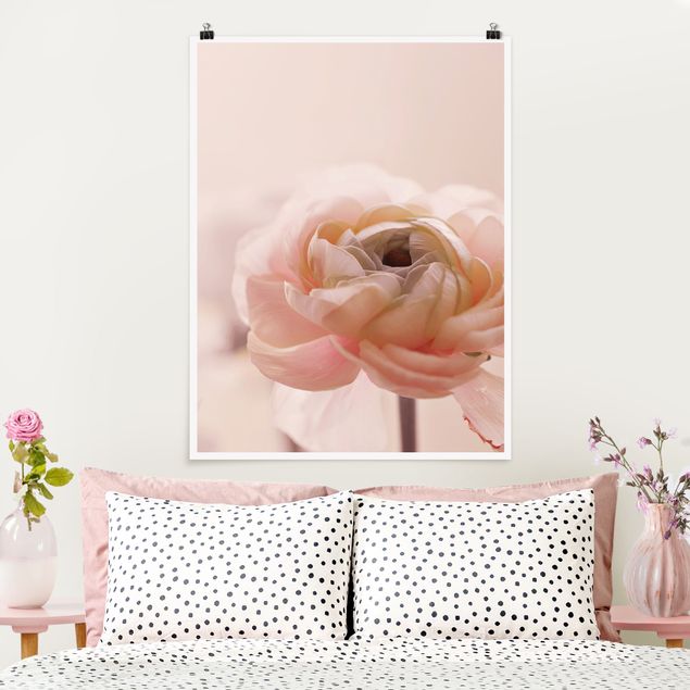 Posters Focus On Light Pink Flower