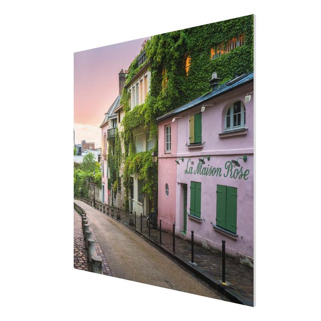 Forex schilderijen Rose Coloured Twilight In Paris
