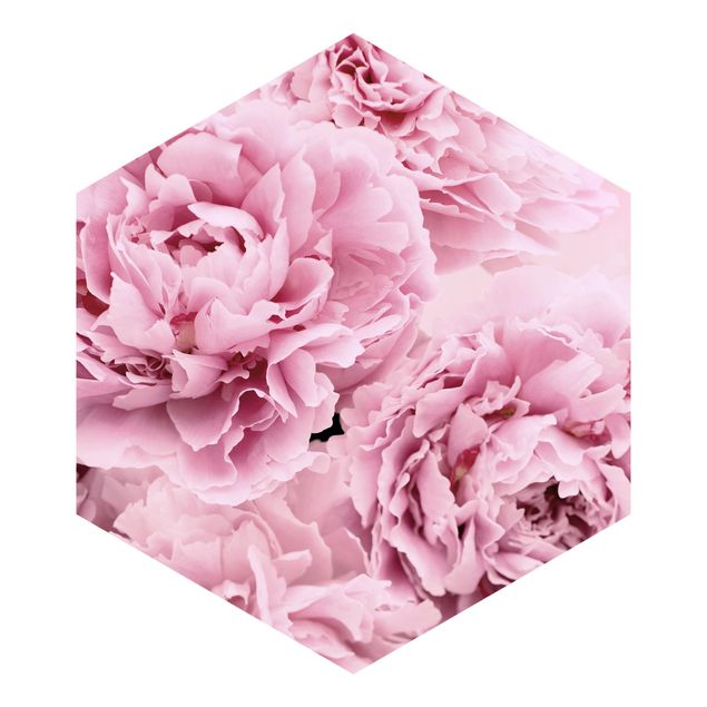 Hexagon Behang Pink Peonies