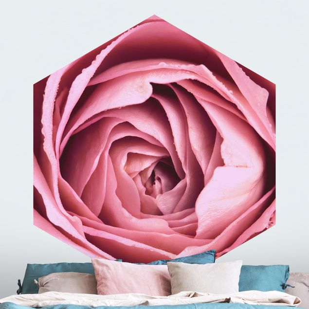 Hexagon Behang Pink Rose Blossom