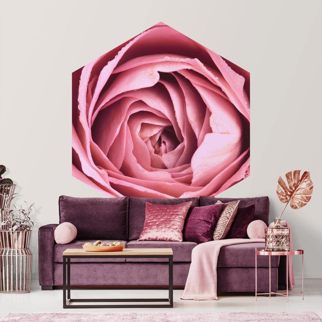 Hexagon Behang Pink Rose Blossom