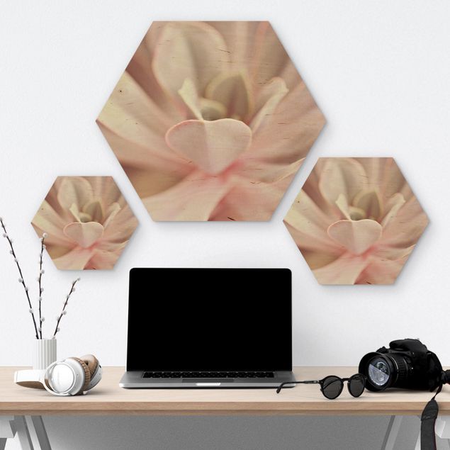 Hexagons houten schilderijen Light Pink Succulent Flower