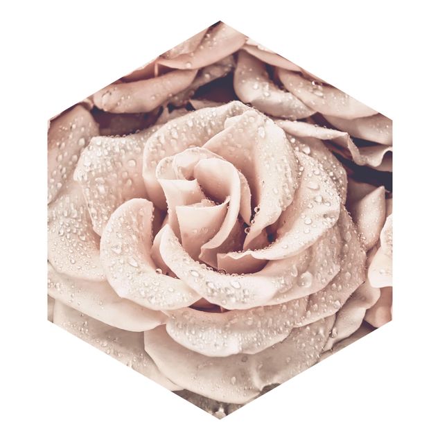 Hexagon Behang Roses Sepia With Water Drops