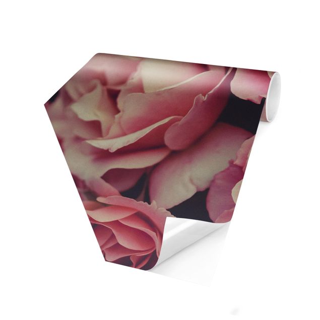 Hexagon Behang Paradisical Roses
