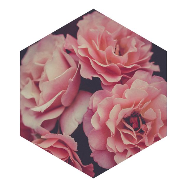 Hexagon Behang Paradisical Roses
