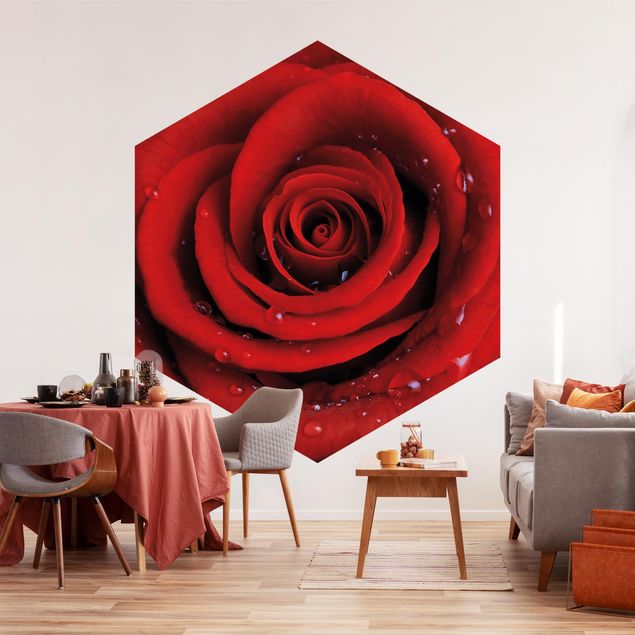 Hexagon Behang Red Rose With Water Drops