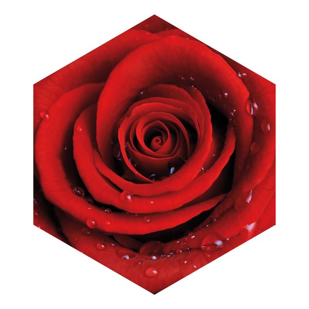 Hexagon Behang Red Rose With Water Drops