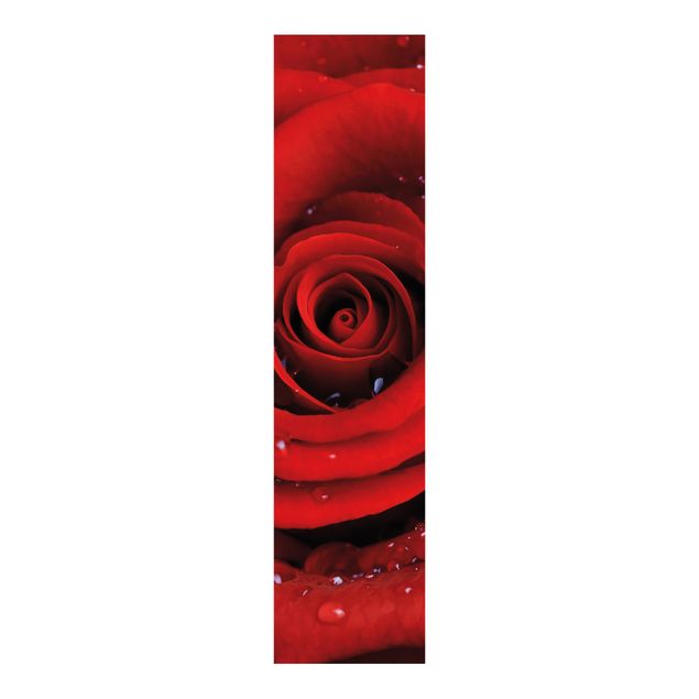 Schuifgordijnen Red Rose With Water Drops