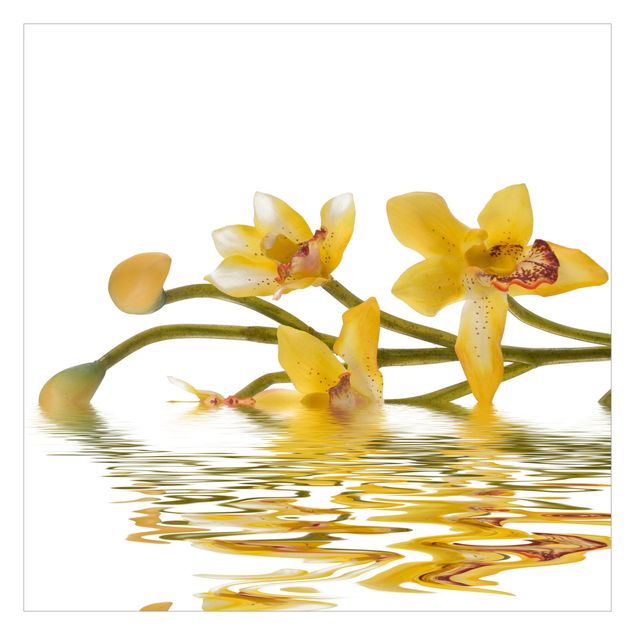 Fotobehang Saffron Orchid Waters
