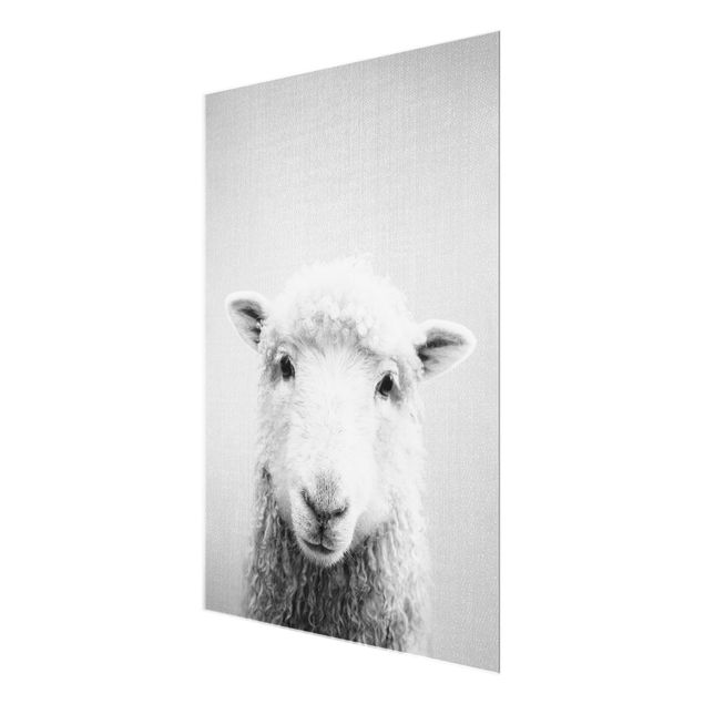 Glasschilderijen - Sheep Steffi Black And White