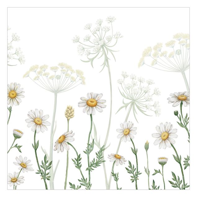 Fotobehang - Achillea and daisy