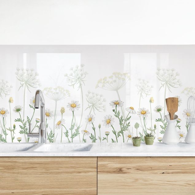 Achterwand voor keuken bloemen Achillea and daisy