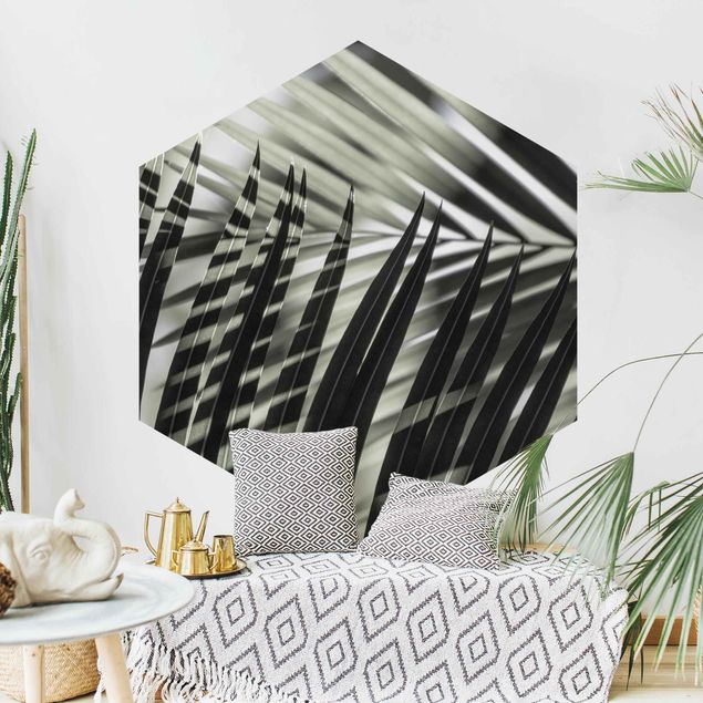 Hexagon Behang Interplay Of Shaddow And Light On Palm Fronds