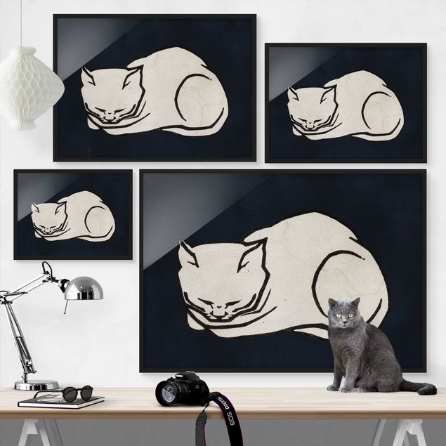 Ingelijste posters Sleeping Cat Illustration