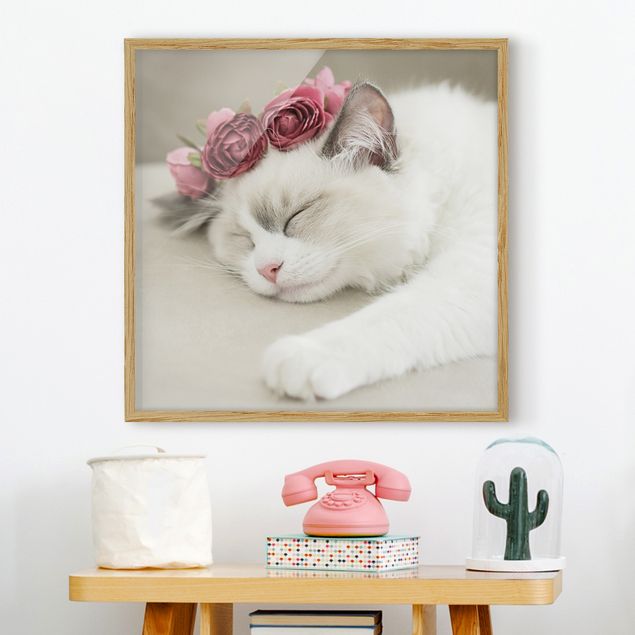 Ingelijste posters Sleeping Cat with Roses