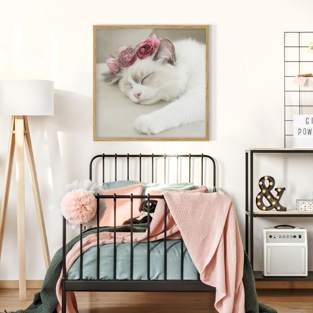 Ingelijste posters Sleeping Cat with Roses
