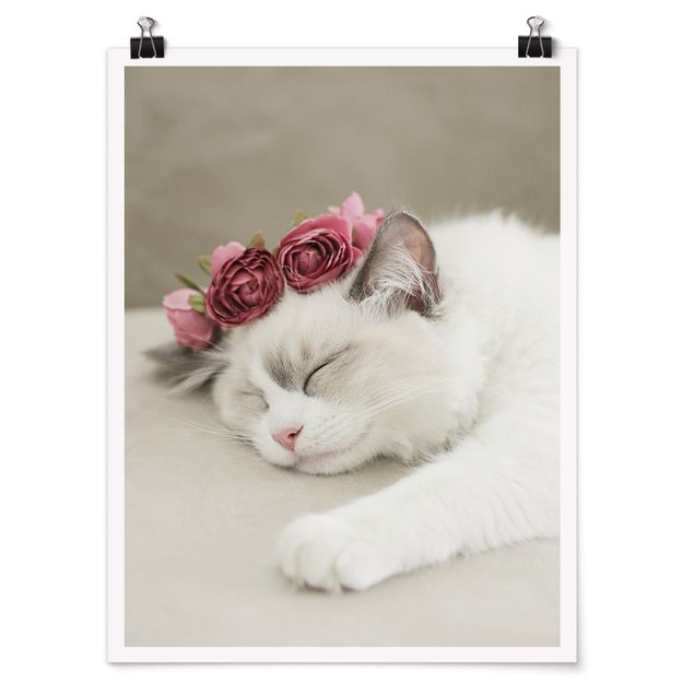Posters Sleeping Cat with Roses