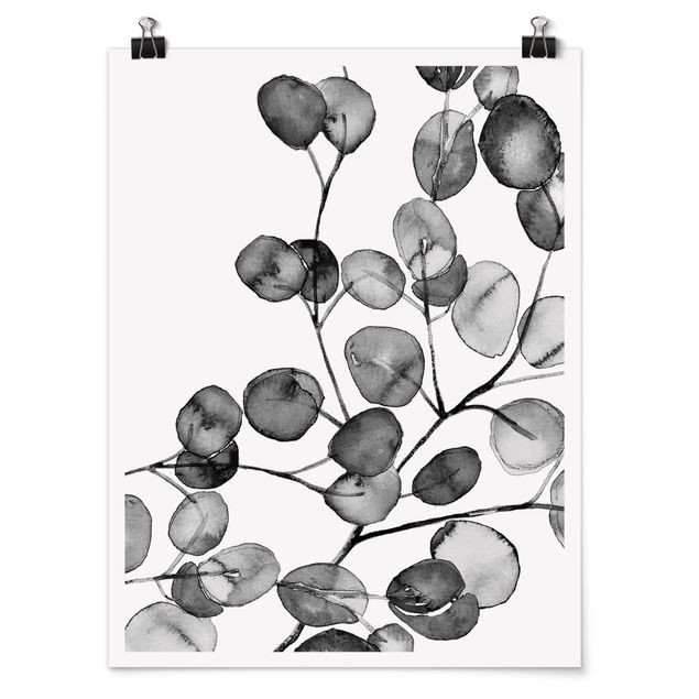 Posters Black And White Eucalyptus Twig Watercolour