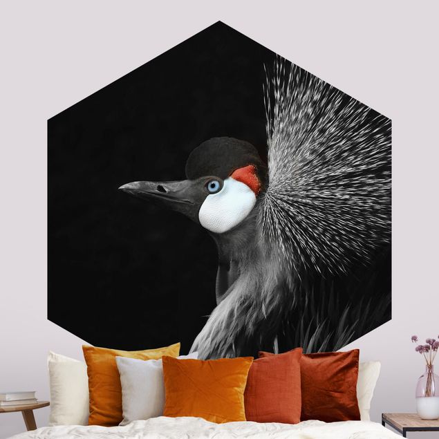 Hexagon Behang Black Crowned Crane