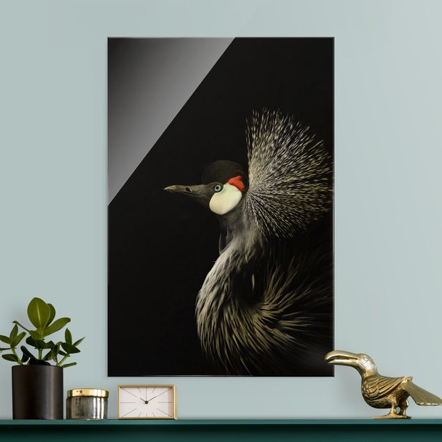 Glasschilderijen Black Crowned Crane