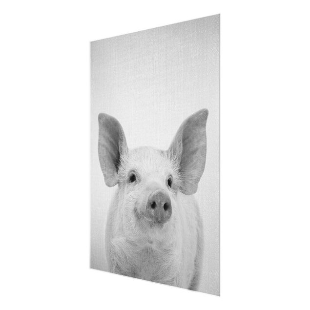 Glasschilderijen - Pig Shorsh Black And White