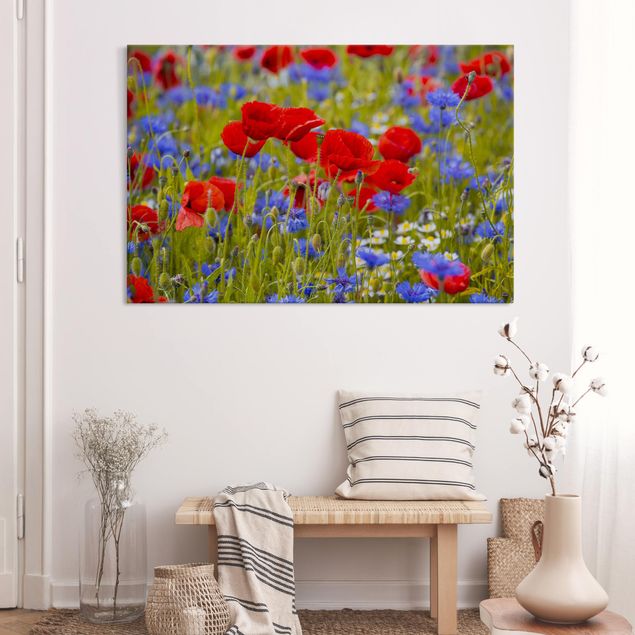 Akoestisch schilderij - Summer Meadow With Poppies And Cornflowers