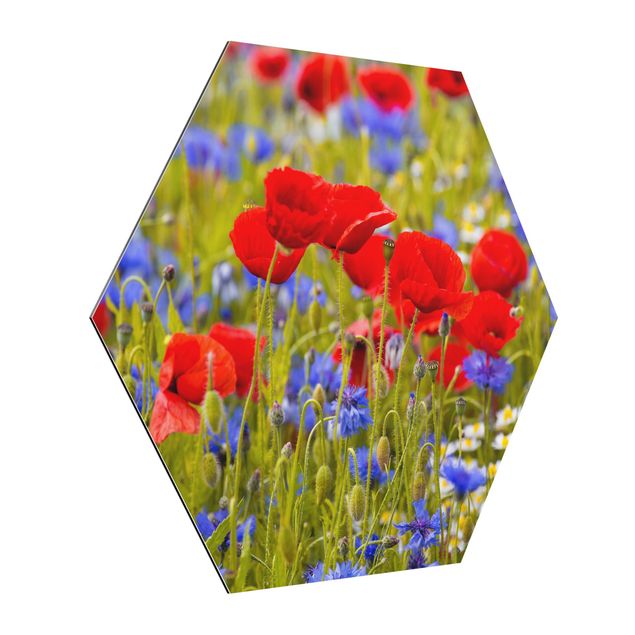 Hexagons Aluminium Dibond schilderijen - Summer Meadow With Poppies And Cornflowers