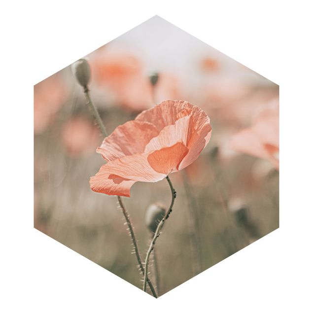 Hexagon Behang Sun-Kissed Poppy Fields